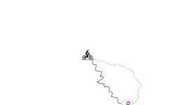 trek in the mountains