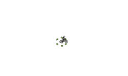 tricky auto