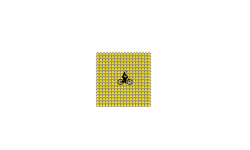 18x18 star square