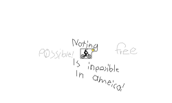 Possiblys In America