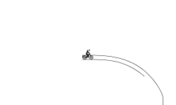 Don't Move! It's a Bear