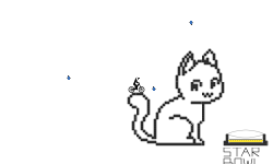 Cat with stars