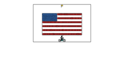 Flags #8: USA