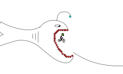 the escape of the piranha