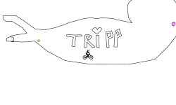for triip