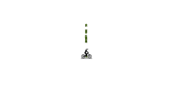 noif slid