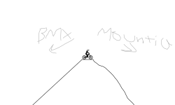 BMX or Mountain?