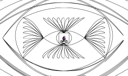 The eye of the lord