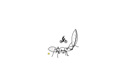 Ant >