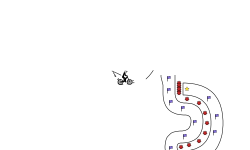 TUBE TUBE TUBE TUBE TUBE TUBE