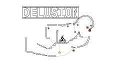 Delusion