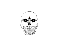 skull art 2