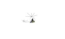 auto helicopter police