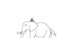Ride the elephant