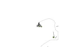 auto+lines following head