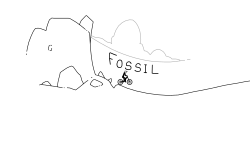 Fossil