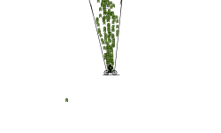 press shift for epic stretch